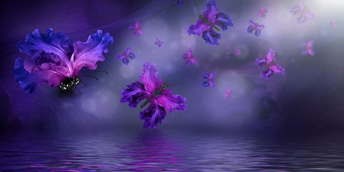 1280x762 Desktop Wallpapers butterfly Irises Flowers Creative Water