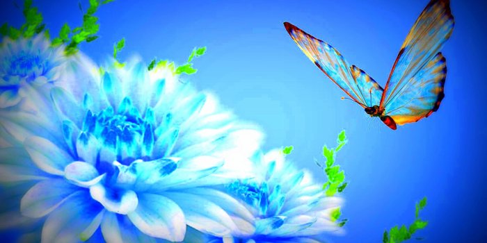 2560x1600 Beautiful Butterflies and Flowers Wallpapers (56+ images)
