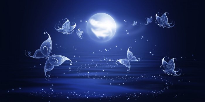1920x1080 Fantasy Wallpaper With Butterflies Free Stock Photo - Public