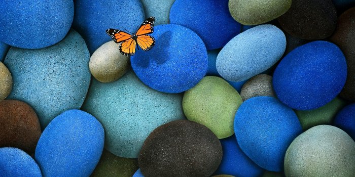 2560x1600 Free download pics Butterfly On Blue Stones Wallpaper 39212