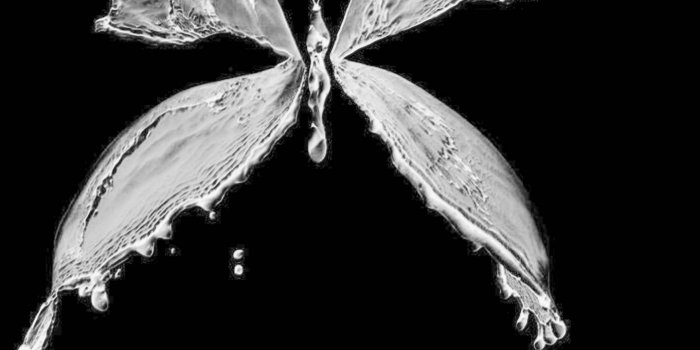 1439x1280 water butterfly wallpaper by Sky16 - 51 - Free on ZEDGE™