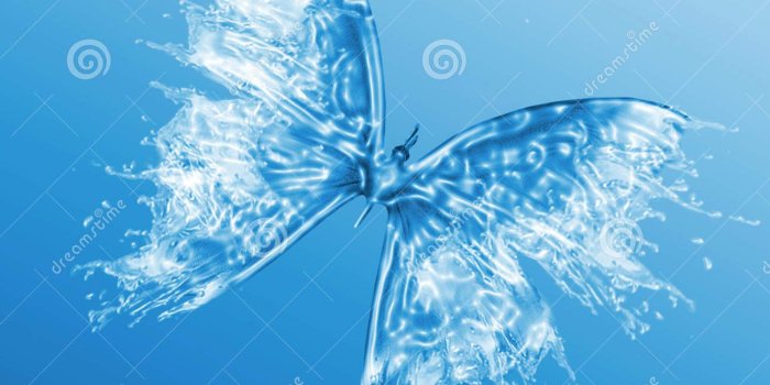 1300x1390 Butterfly on the water, wallpapers download to your desktop | size