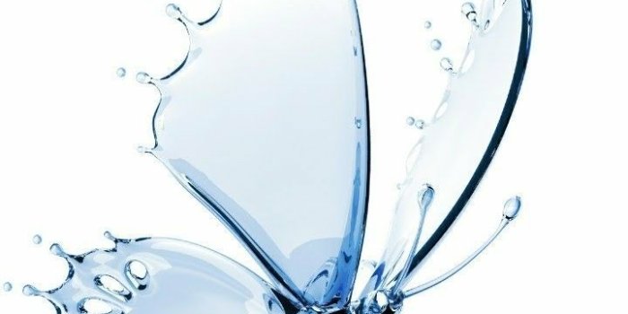 720x1280 One water butterfly | Butterfly wallpaper, Beautiful wallpapers