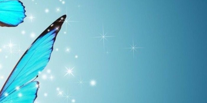 1242x2208 Butterfly and water | Download Wallpapers