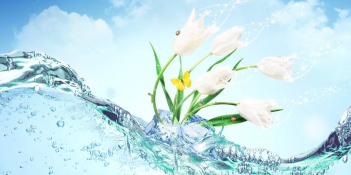 1920x1200 water, ice, Flowers, butterfly - HD wallpaper desktop backgrounds