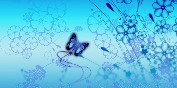 1024x768 Blue Butterfly Wallpapers - Top Free Blue Butterfly Backgrounds