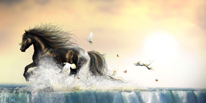 1366x768 water birds insect butterfly animals horse waterfall doves
