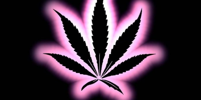 1024x768 Best 43+ Pretty Girly Weed Backgrounds on HipWallpaper | Weed Girl