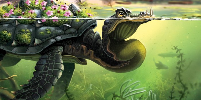 2780x2780 Download wallpaper 2780x2780 turtle, butterflies, art, water
