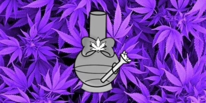 854x1280 Weed, Purple, And Marijuana Image - Weed Wallpaper Iphone Xr