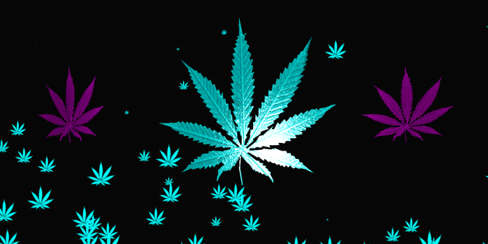 1280x800 Weed Leaf Wallpaper Hd posted by John Cunningham