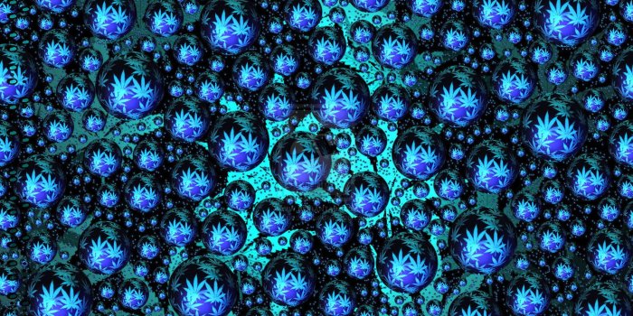 1600x1000 47+] Weed Leaf Wallpaper on WallpaperSafari