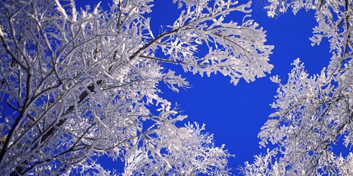 2560x1920 Wallpaper Winter - HD Wallpapers