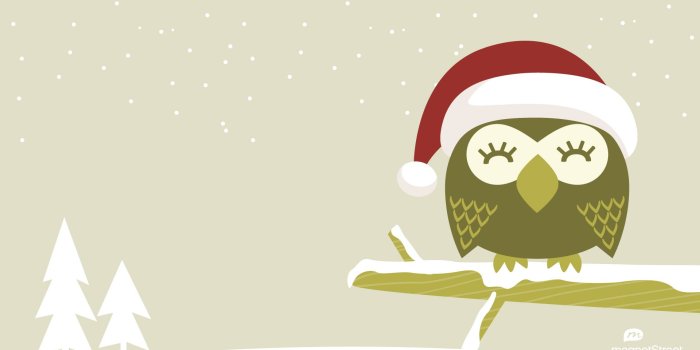 1920x1200 Cute Christmas Owl Wallpapers - Top Free Cute Christmas Owl