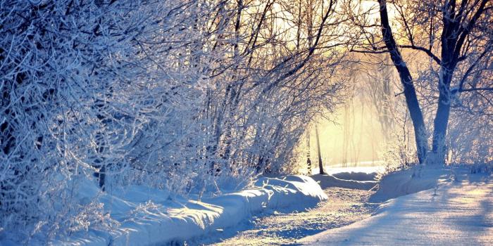 1440x900 Wallpaper Winter - HD Wallpapers