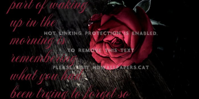 1600x1200 sad although true depressing rose heart