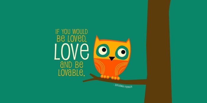 1152x864 Sad Cute Owl Impending.co Desktop Background