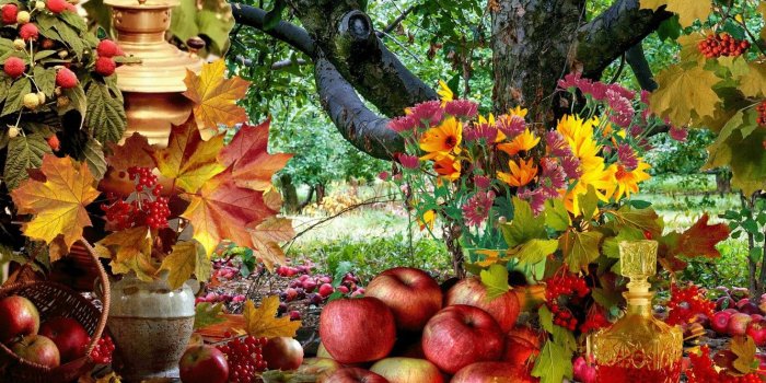 1332x850 Wallpaper garden, still life, Apples images for desktop, section