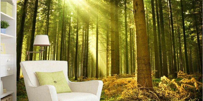 1025x865 Modern Living Room Wallpapers Aesthetic Sunshine Through The