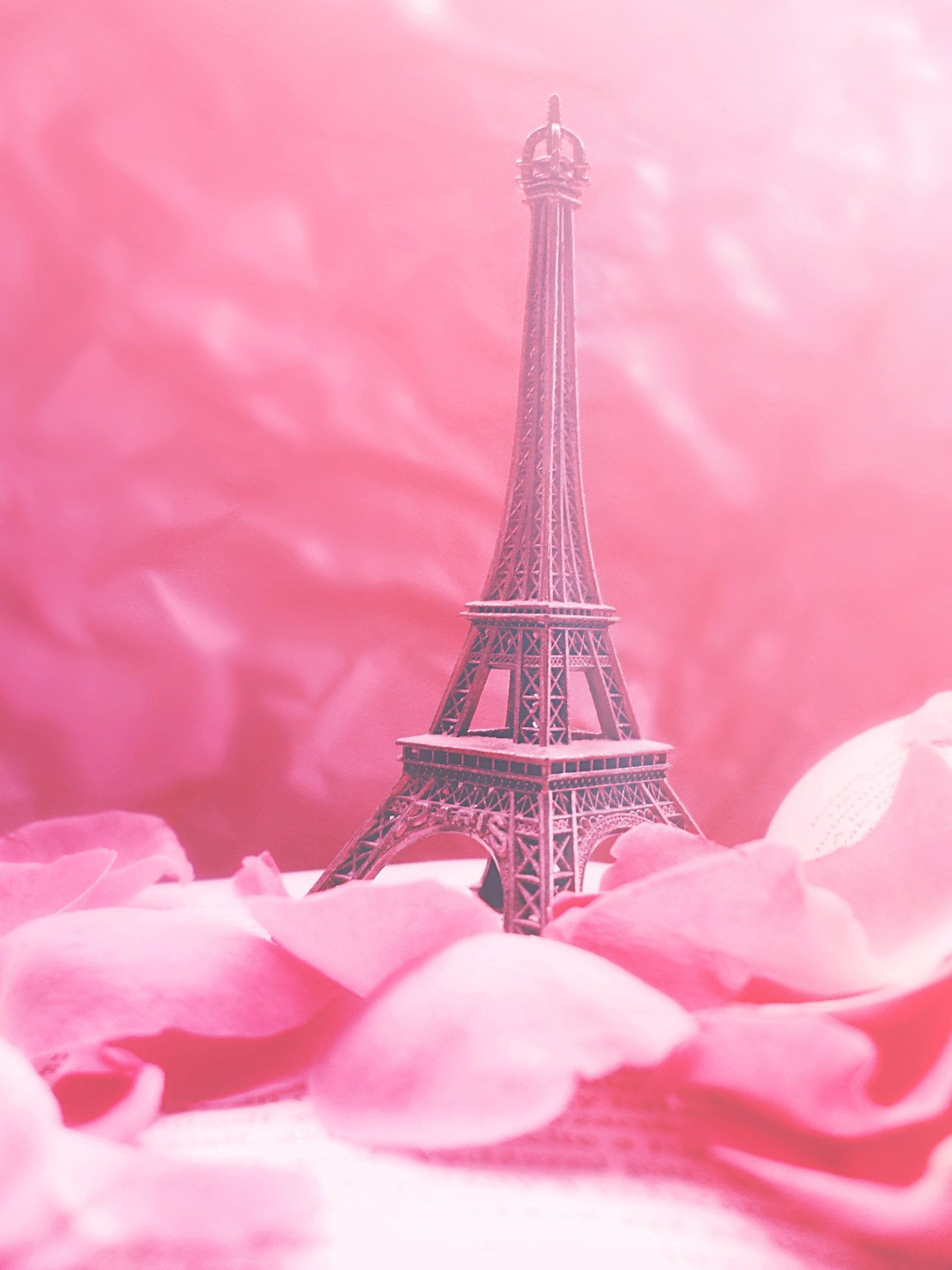 1600x2133 Pink Paris Wallpaper (49+ images)