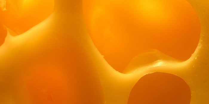 1280x804 Cheese wallpapers | Cheese stock photos