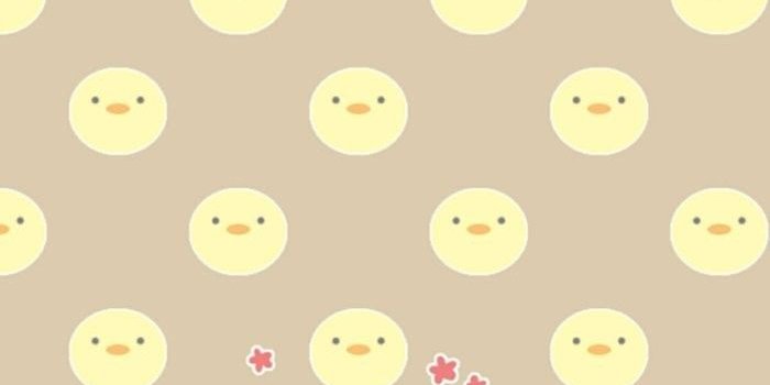 700x1244 ✿Cheese Cat Couple iPhone Wallpaper. | Iphone wallpaper cat