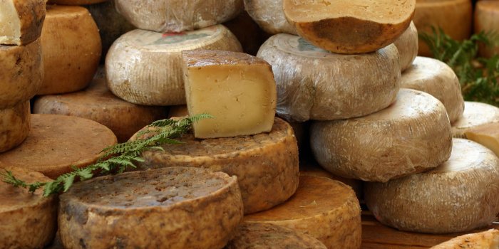 2560x1600 Hard cheese wallpaper - Photography wallpapers - #31682