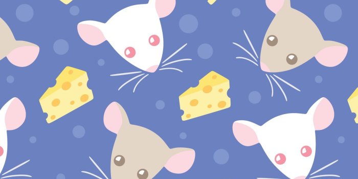 1620x1320 Rats And Cheese Wallpaper | Kids and Childrens Wall Murals and