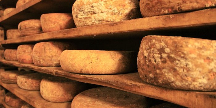 1600x1024 Food, Italian, Italy, Cheese, HD Wallpaper, High Resolution