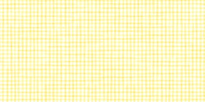 2456x2500 Harriet Bee Madelina Playdate Gingham 33' L x 20.5