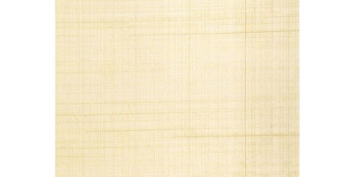 1024x1024 Schumacher Wallpaper 5005780 Brushed Plaid White Gold | Inside Stores