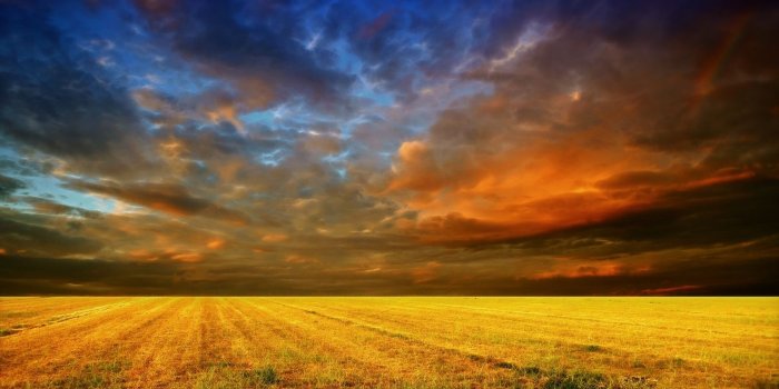 1920x1200 Yellow Field & Red Blue Sky wallpapers | Yellow Field & Red Blue