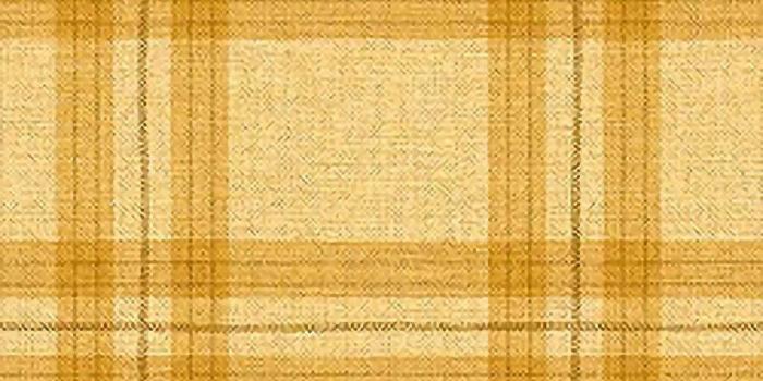 1024x1024 Wallpaper | Thibaut Tidewater Oakley Plaid - Tobacco - T9057