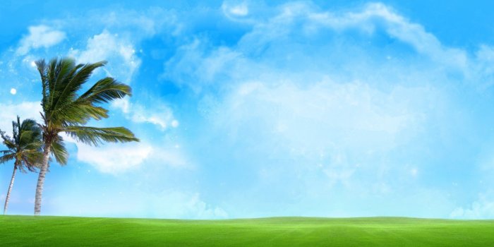 1679x921 Red Tree Against A Blue Sky Hd Desktop Wallpaper - Aim Global