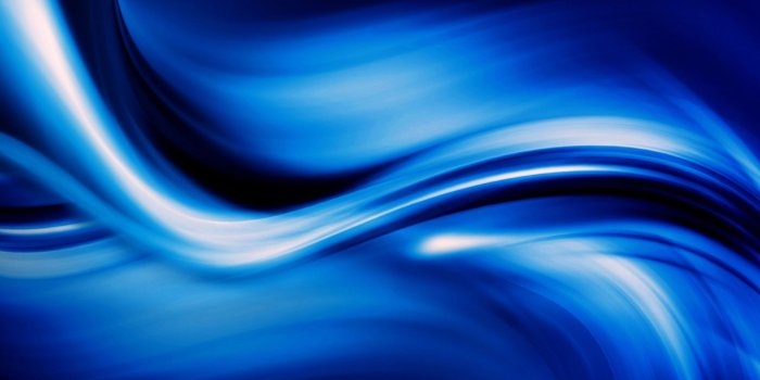 2560x1600 Hd Wallpaper Blue Sky Red Nature Color Wall Design Flower Sea Lion