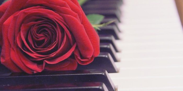 2046x3072 Tumblr Wallpaper, Wallpaper Backgrounds, Cute Wallpapers, - Piano