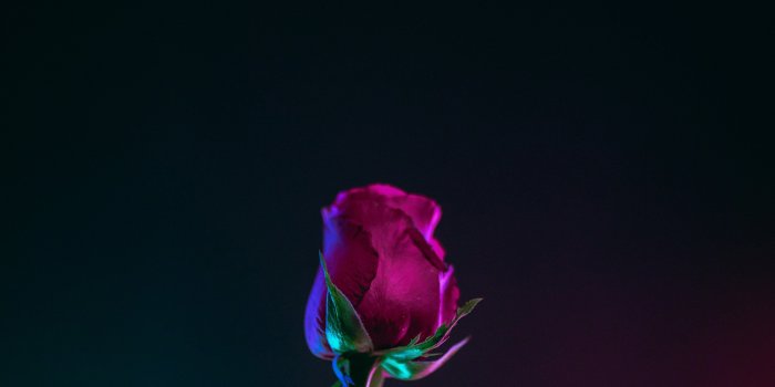 3840x5760 wallpaper android wallpapers android backgrounds and lock screen