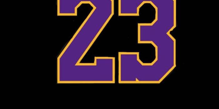 720x1280 LeBron James wallpaper by ObligedBrute - 2b - Free on ZEDGE™