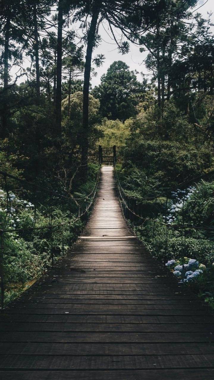 720x1280 Peaceful Bridge wallpaper by ademoss80 - cc - Free on ZEDGE™