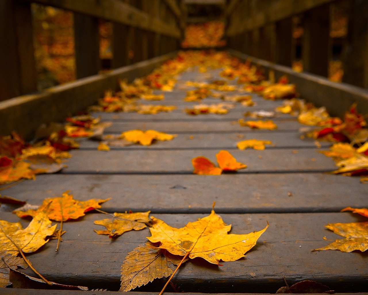 1280x1024 Woods Wooden Bridge Colors Peaceful View Autumn Wallpaper