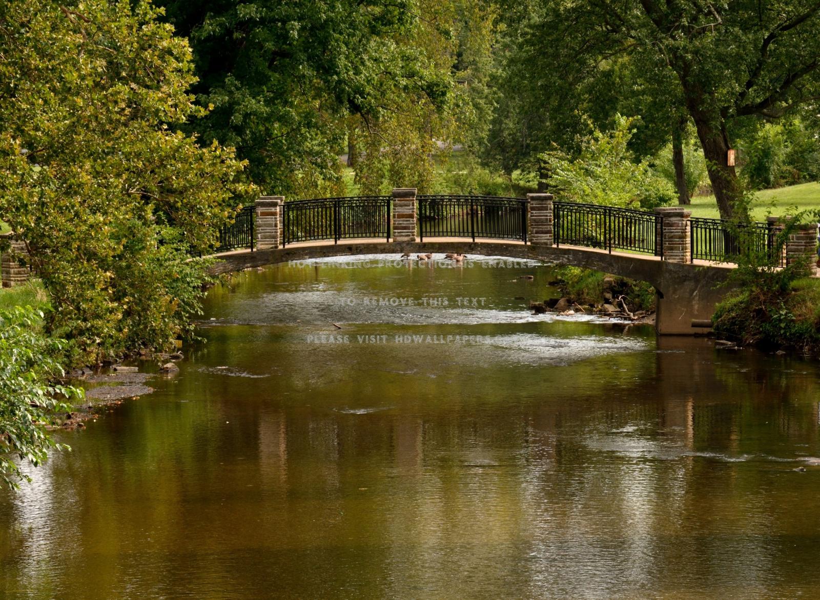 3000x2198 nature reflections soothing bridge peaceful