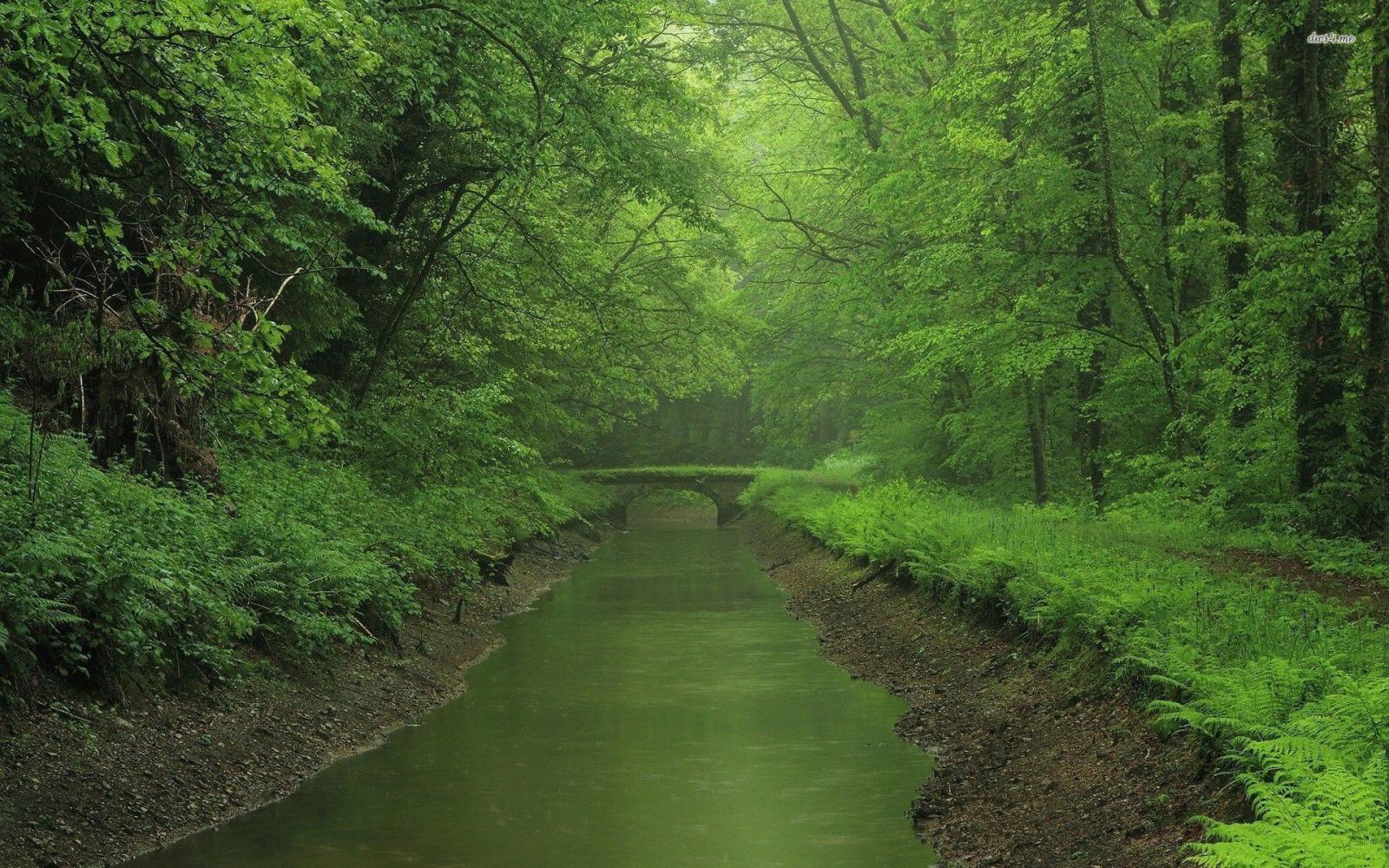 1920x1200 Wallpapers sorted, The bridge leading to the mountains, W-2344317125