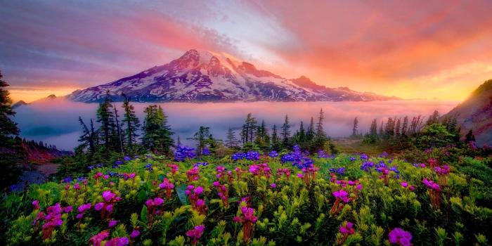 1920x1080 Sunrise Spring Landscape Of Snow Mountain Meadow Flowers Mount