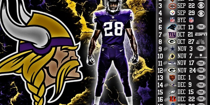 1920x1200 HD Wallpaper Minnesota Vikings Backgrounds