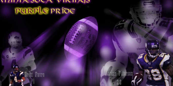 1920x1080 Minnesota Vikings HD Wallpaper | Background Image | 1920x1080 | ID