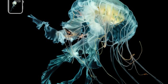 2880x1800 Apple Bringing Apple Watch Like Motion Wallpapers To iPhone 6s