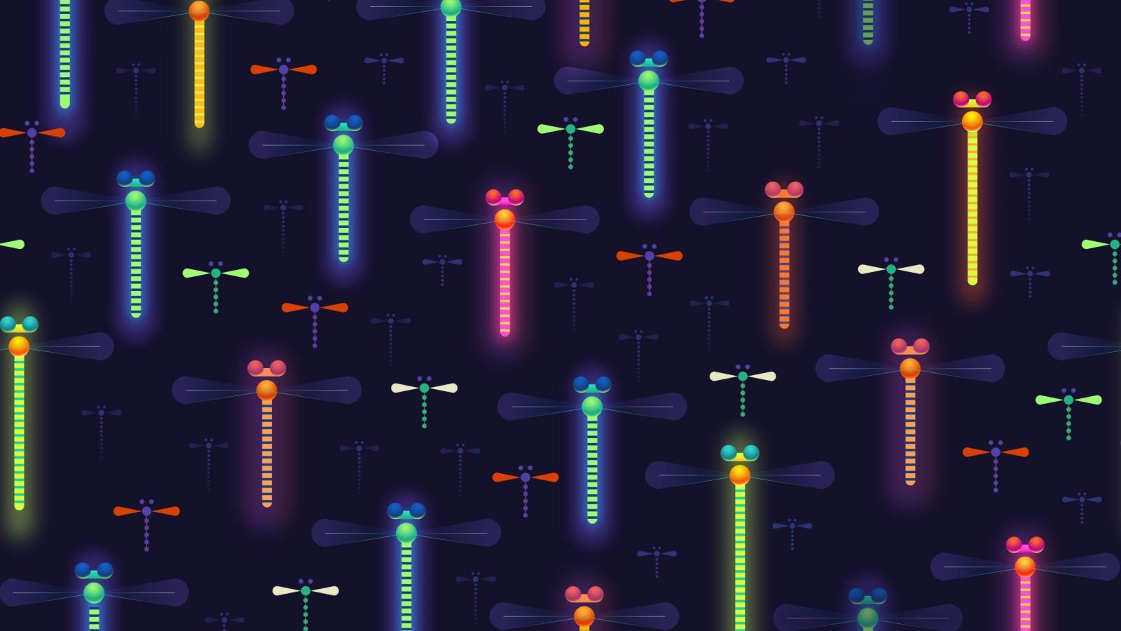 2560x1440 Colorful Dragonflies Digital Art HD wallpaper