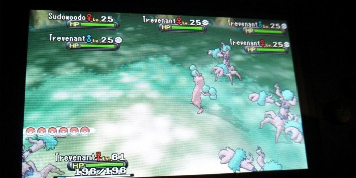 1600x900 Day 451: The Trevenants have accepted me as one of their own : pokemon