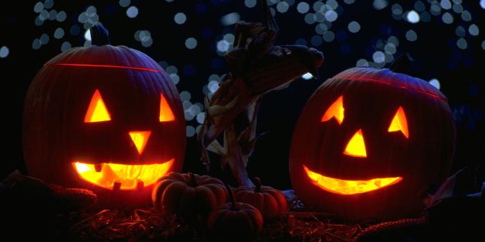 2560x1600 Best 40+ Halloween Pumpkin Backgrounds for Desktop on HipWallpaper