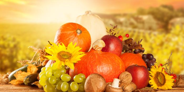 8000x5260 Wallpaper Autumn Pumpkin Food 8000x5260